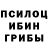 Галлюциногенные грибы прущие грибы Roger Miller