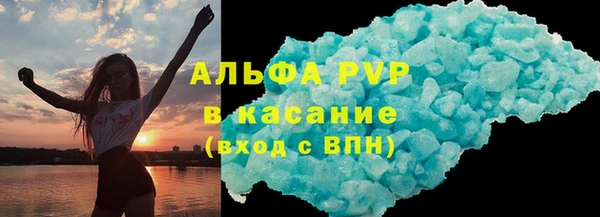 стаф Новозыбков