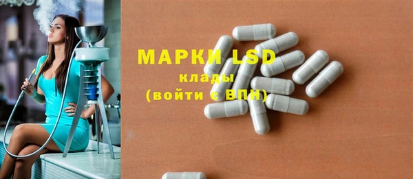 стаф Новозыбков