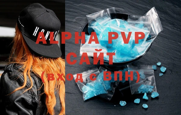 стаф Новозыбков