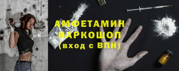 ПСИЛОЦИБИНОВЫЕ ГРИБЫ Ельня