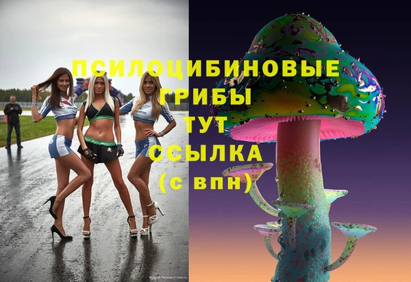 Альфа ПВП Нея