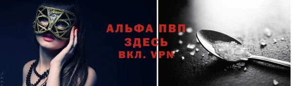 МДПВ Новодвинск