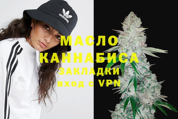 стаф Новозыбков