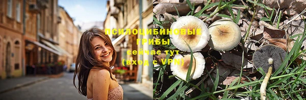 бошки Новокубанск