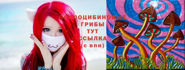 ECSTASY Нефтекумск