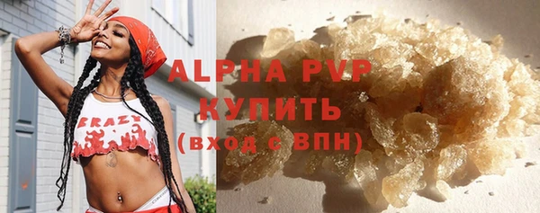 стаф Новозыбков