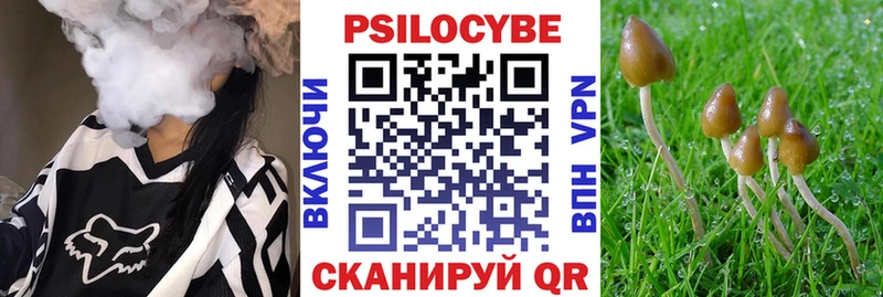 kraken как зайти  Западная Двина  Галлюциногенные грибы мухоморы 